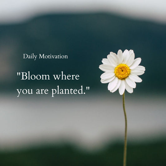 Motivational Quote-Dummy
